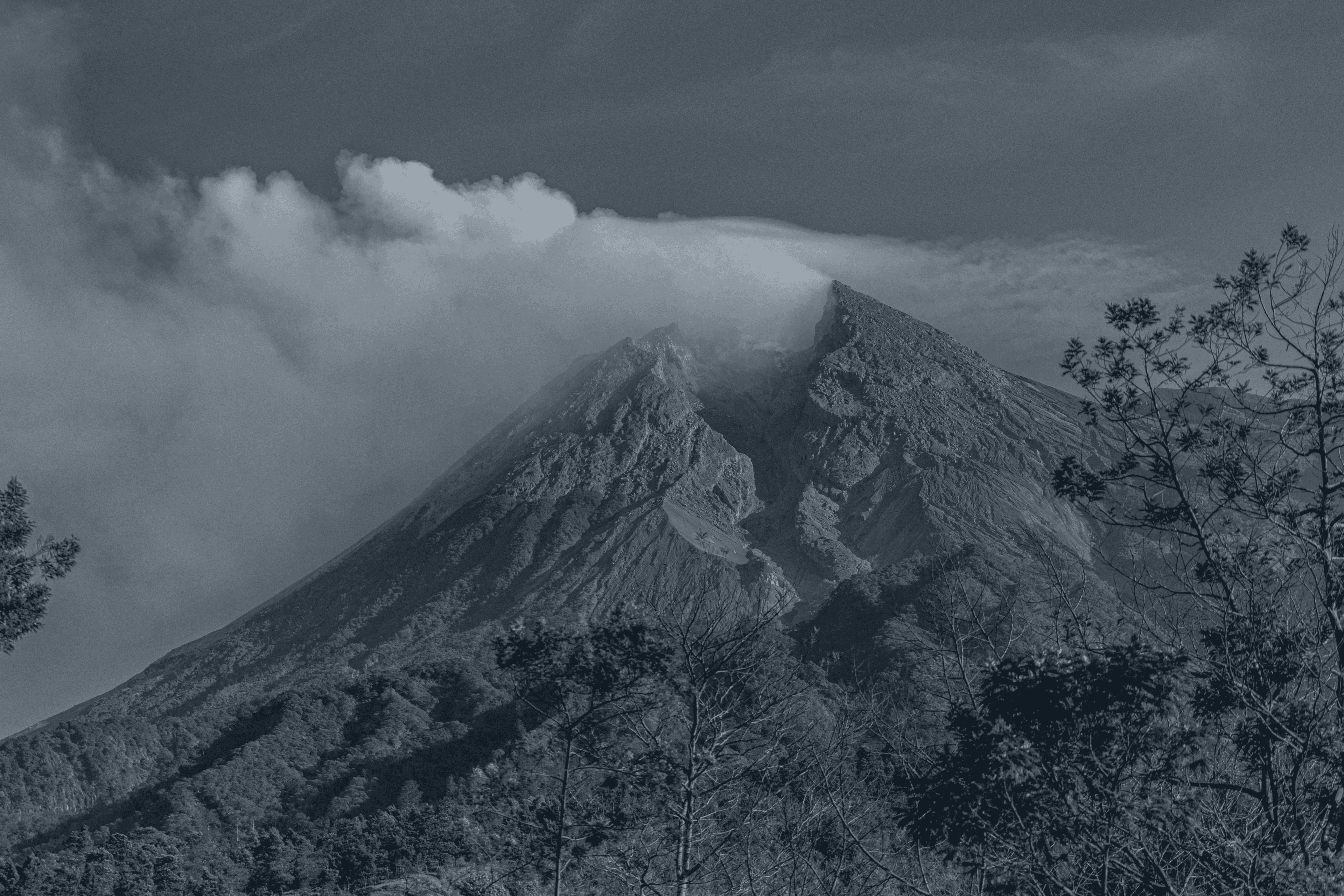 Sahabat Bahasa Indonesia